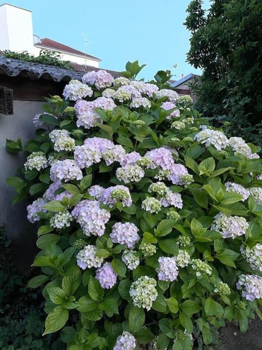 La Casa Del Papa - Maison Spacieuse Avec Jardin Dole Eksteriør billede